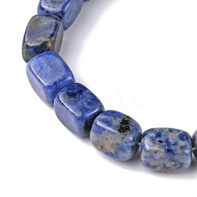 Natural Sodalite Beads Strands G-F743-02I-1