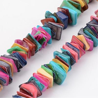 Natural Shell Bead Strands BSHE-P021-01-1