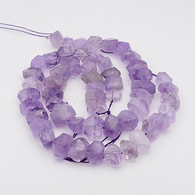 Natural Amethyst Nuggets Bead Strands G-P082-15-1