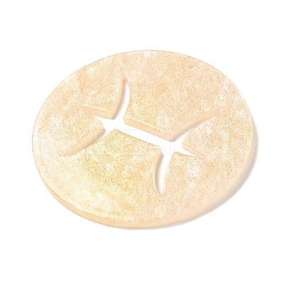 Acrylic Pendants SACR-S680-06C-1
