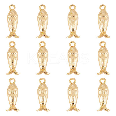 12Pcs Brass Charms KK-TA0002-56-1