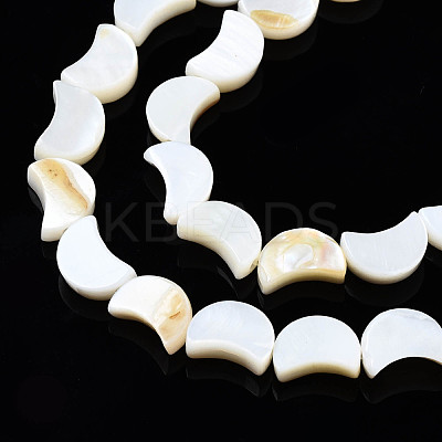 Natural Freshwater Shell Beads Strands X-SHEL-N026-151-1