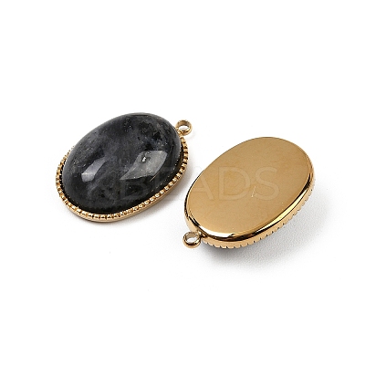 Natural Labradorite Pendants STAS-F322-15G-06-1