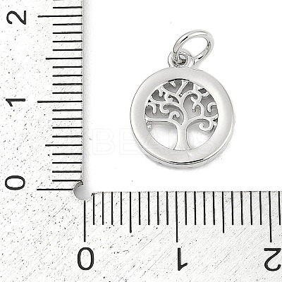 Brass Micro Pave Clear Cubic Zirconia Charms KK-G522-46P-1