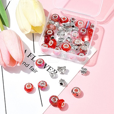 DIY Tibetan Style Alloy & Resin European Beads Making Finding Kits DIY-FS0006-78E-1