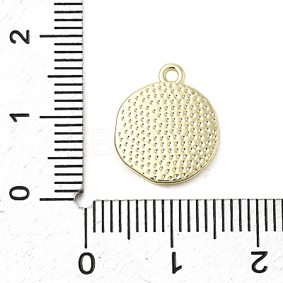 Alloy Enamel Charms PALLOY-K020-19LG-04-1