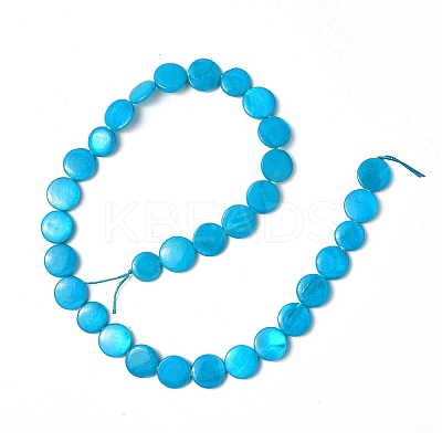 Spray Painted Natural Freshwater Shell Beads Strands SHEL-C003-05H-1