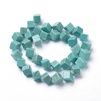 Dyed & Heated Natural Howlite Beads Strands G-F592-06-C-1