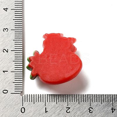 Animal Pig Theme Opaque Resin Decoden Cabochons LS-CRES-B020-01E-1