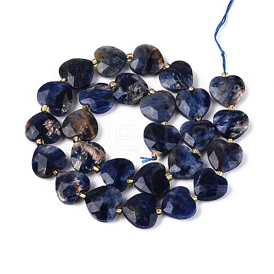 Natural Sodalite Beads Strands G-P592-B08-01-1