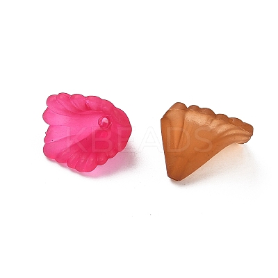 Transparent Acrylic Beads PL622M-1