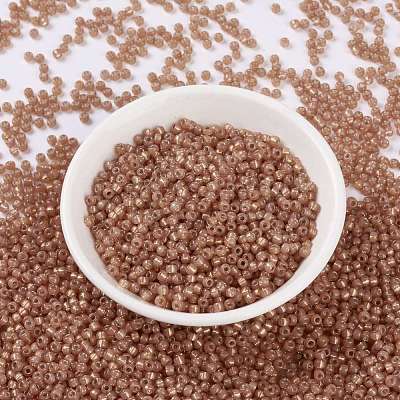 MIYUKI Round Rocailles Beads SEED-JP0009-RR0553-1