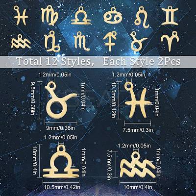 24Pcs 12 Style 12 Constellations Manual Polishing 304 Stainless Steel Charms STAS-SC0004-55-1