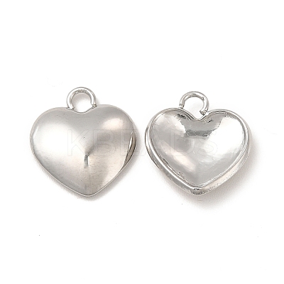 Non-Tarnish 304 Stainless Steel Charms STAS-A070-30P-1