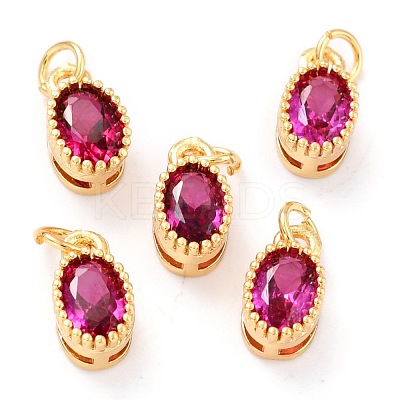 Real 18K Gold Plated Brass Inlaid Cubic Zirconia Charms ZIRC-L100-079G-03-1