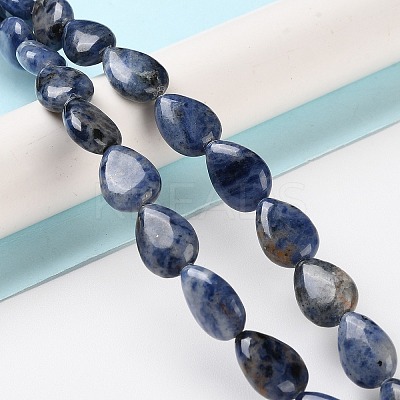 Natural Sodalite Beads Strands G-K357-A01-01-1