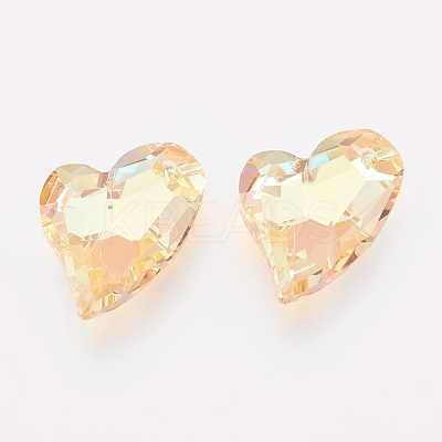 K9 Glass Rhinestone Pendants GLAA-F083-01B-04-1