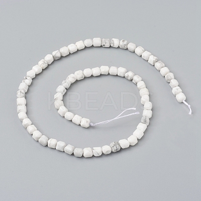 Natural Howlite Beads Strands G-I270-09-1