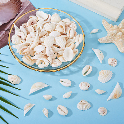 DIY Natural Shell Jewelry Making Finding Kits DIY-BT0001-37-1