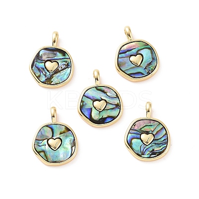 Natural Abalone Shell/Paua Shell Pendants KK-C004-11G-02-1