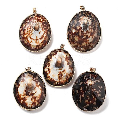 Electroplate Natural Shell Pendants KK-F882-03G-1
