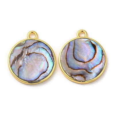 Natural Paua Shell Pendants KK-E059-12G-1