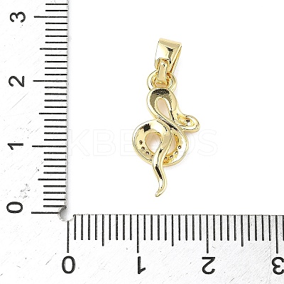 Brass Micro Pave Cubic Zirconia Pendants ZIRC-I356-43G-1