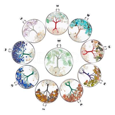 10Pcs 10 Style Mixed Gemstone Pendants G-PH0019-19-1