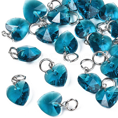 Faceted Transparent Glass Charms GLAA-T024-04D-1