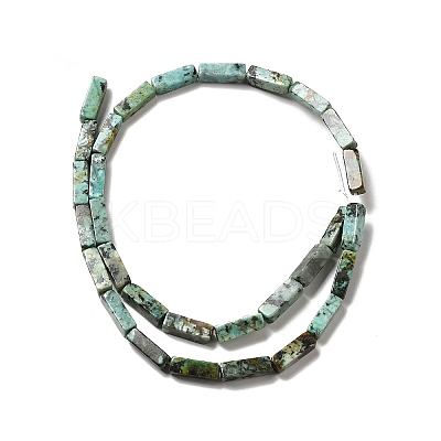 Natural African Turquoise(Jasper) Beads Strands G-F729-01-1
