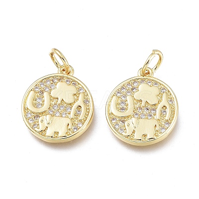 Brass Micro Pave Clear Cubic Zirconia Charms LS-ZIRC-L076-050G-1