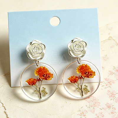 Iron & Acrylic Stud Dangle Earrings for Women WG4F524-01-1