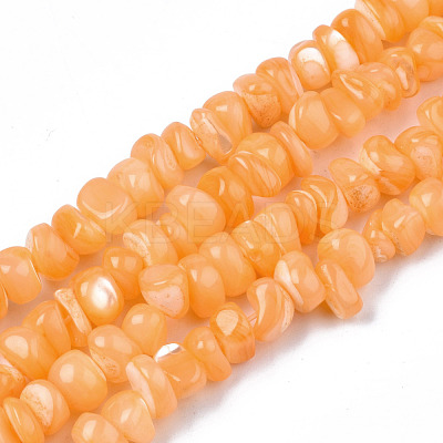 Natural Sea Shell Beads Strands SSHEL-S278-131E-1