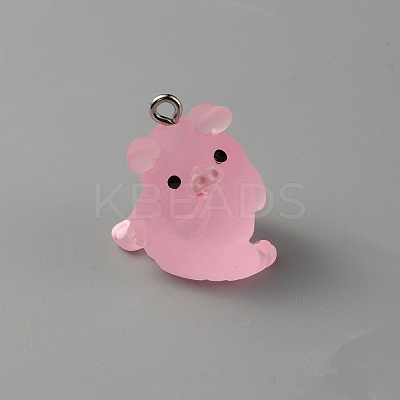 Luminous Translucent Resin Pendants RESI-SZC0004-01C-1