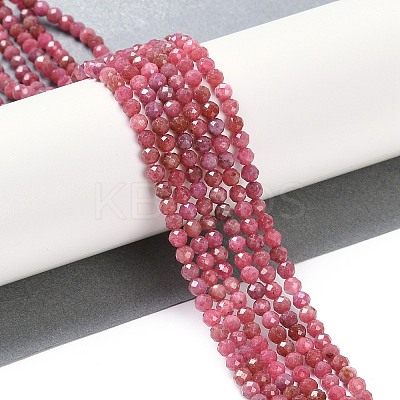 Natural Rhodonite Beads Strands X-G-G139-A16-03-1