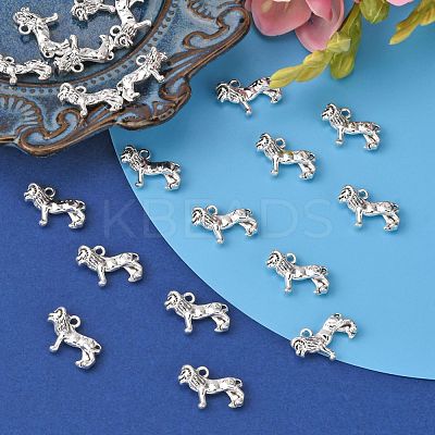 Tibetan Style Alloy Pendants LF9364Y-1