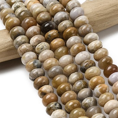 Natural Fossil Coral Beads Strands G-A280-A08-03-1