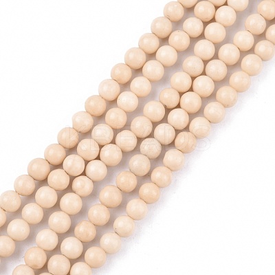 Natural Fossil Beads Strands X-G-E110-4mm-2-1