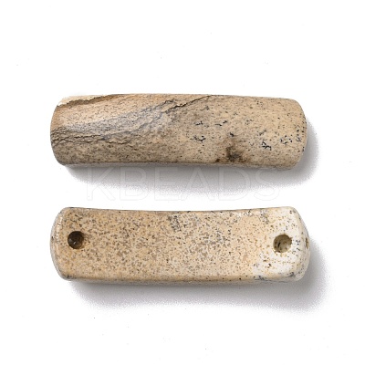 Natural Picture Jasper Connector Charms G-D460-02A-1