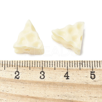Natural Tagua Beads Jewelry Findings WOOD-V001-06-1