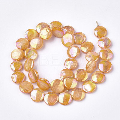 Freshwater Shell Beads Strands LS-SHEL-S274-52D-1