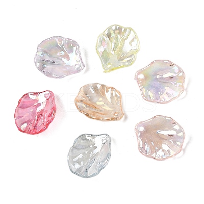 Transparent Acrylic Pendants TACR-F009-08-1