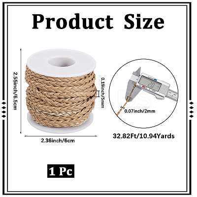 10M Flat Braided Imitation Leather Cords LC-CL0001-04C-1