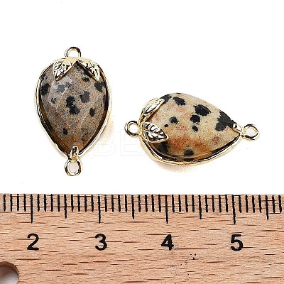 Natural Dalmatian Jasper Faceted Teardrop Connector Charms G-B081-03G-10-1