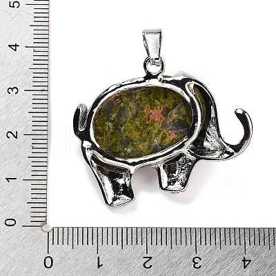 Natural Unakite Pendants G-G112-01P-05-1