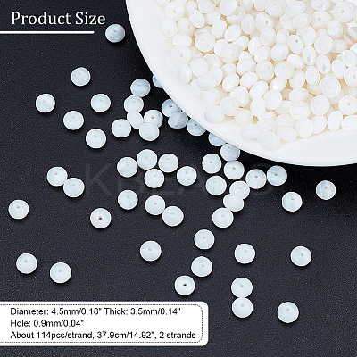 2 Strands Natural Freshwater Shell Beads Strands SHEL-NB0001-51-1