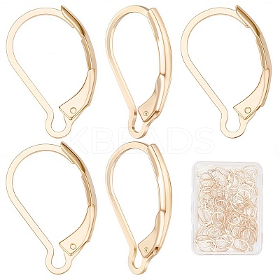 60Pcs 304 Stainless Steel Leverback Earring Findings STAS-SC0004-61-1