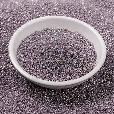 MIYUKI Round Rocailles Beads X-SEED-G009-RR0437-1