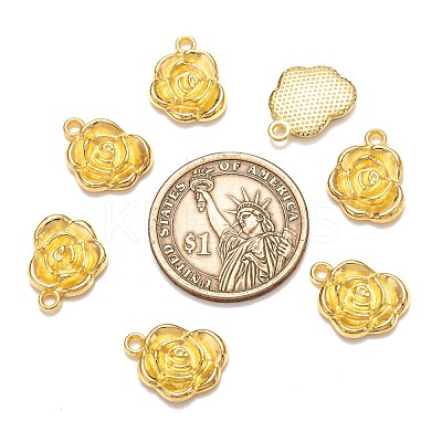 Tibetan Style Alloy Pendants LS-K0NTA011-1