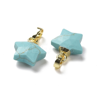 Synthetic Turquoise Charms G-F584-A20-G-1